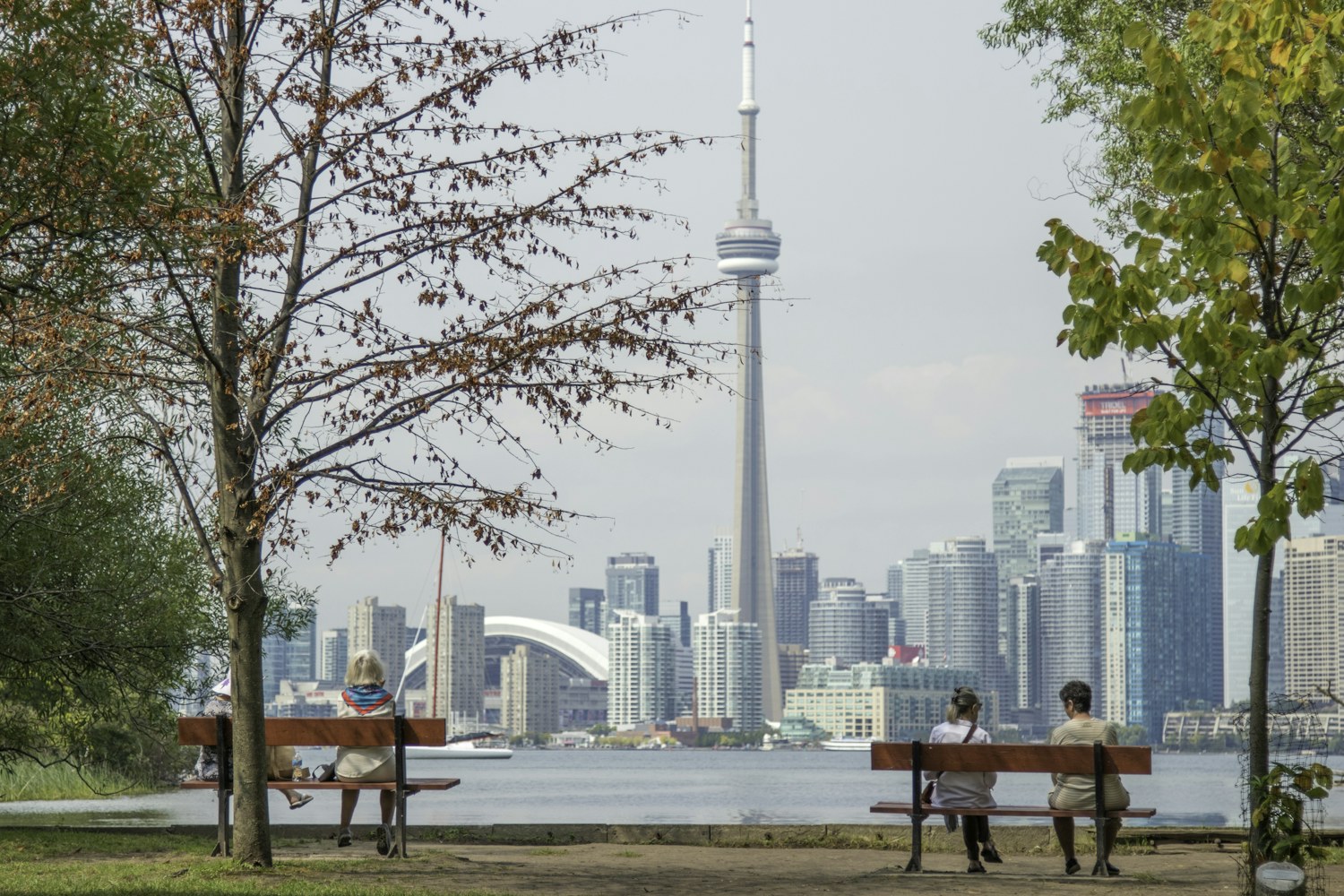 The Toronto skyline and CN Tower across the waterfront